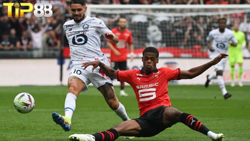 Lịch sử đối đầu giữa Rennes vs Lille