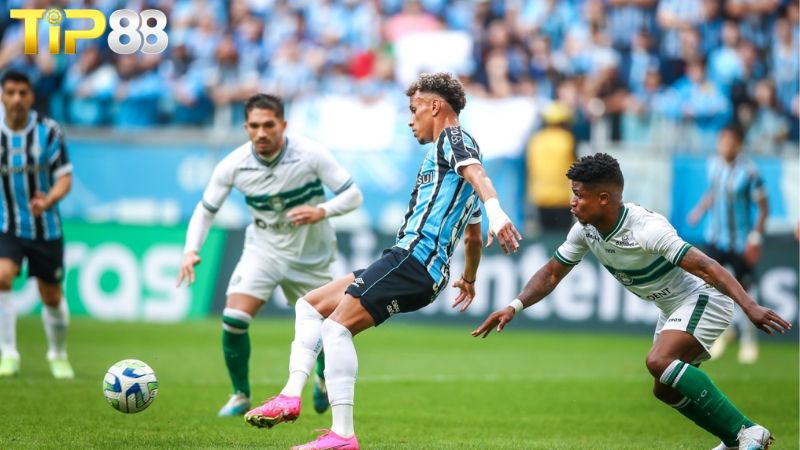 Lịch sử đối đầu giữa Gremio vs Coritiba