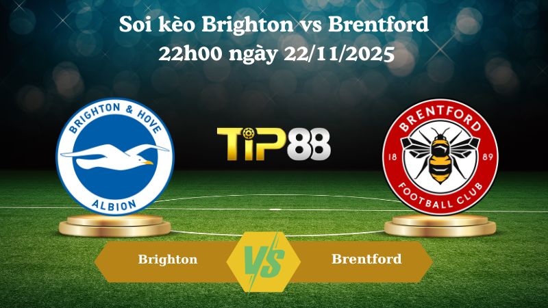 Soi kèo Brighton vs Brentford 22h00 ngày 22/11/2025