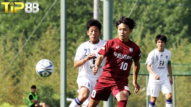 Lịch sử đối đầu giữa Vissel Kobe vs Avispa Fukuoka