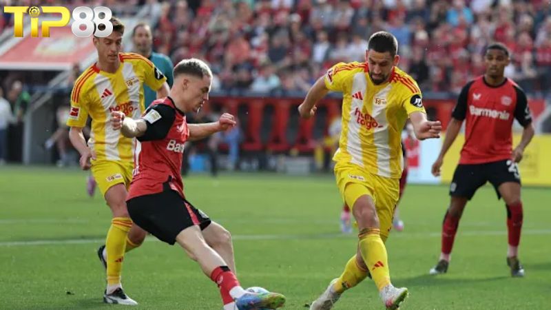Lịch sử đối đầu giữa Bayer Leverkusen vs St Pauli