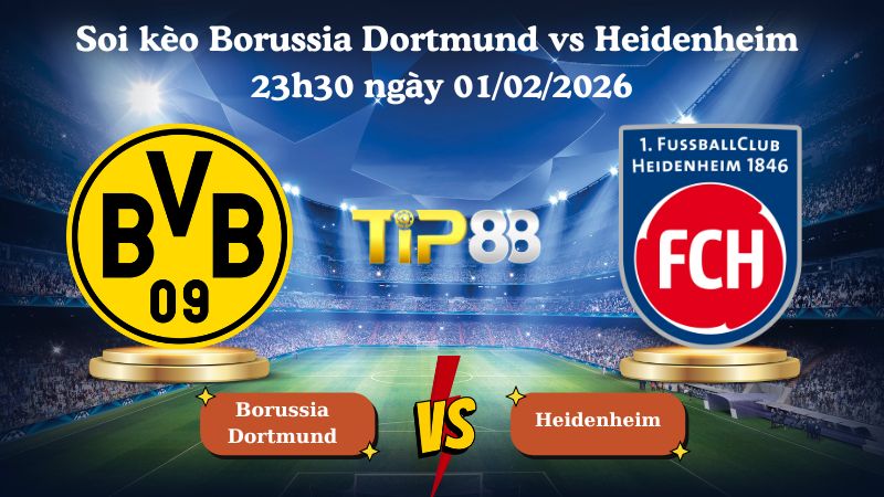 Nhận định soi kèo Borussia Dortmund vs Heidenheim 23h30 ngày 01/02/2026