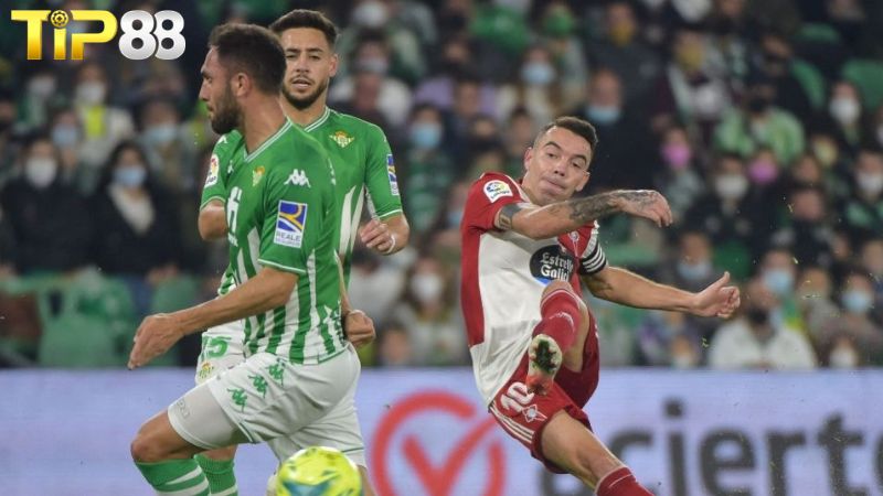 Lịch sử đối đầu giữa Real Betis vs Celta Vigo