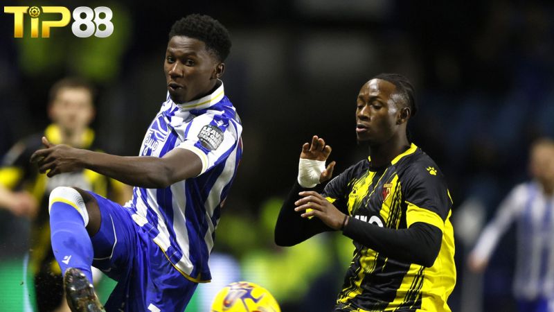 Lịch sử đối đầu giữa Sheffield Wed vs Watford