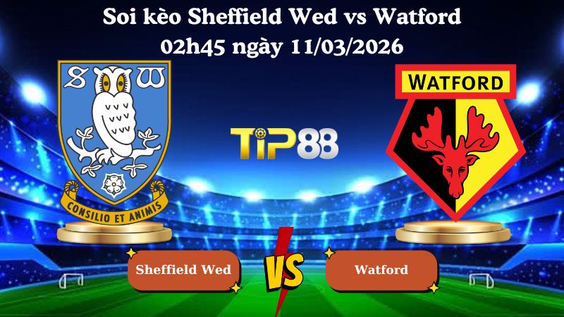soi kèo Sheffield Wed vs Watford 02h45 ngày 11/03/2026