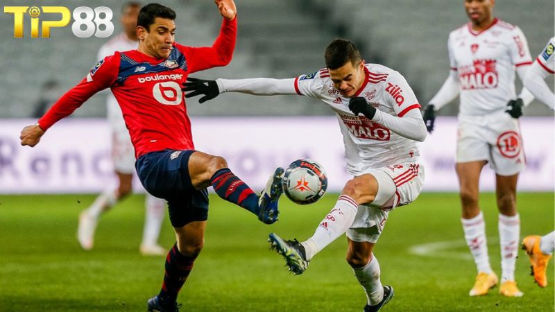 Lịch sử đối đầu giữa Lille vs Brest