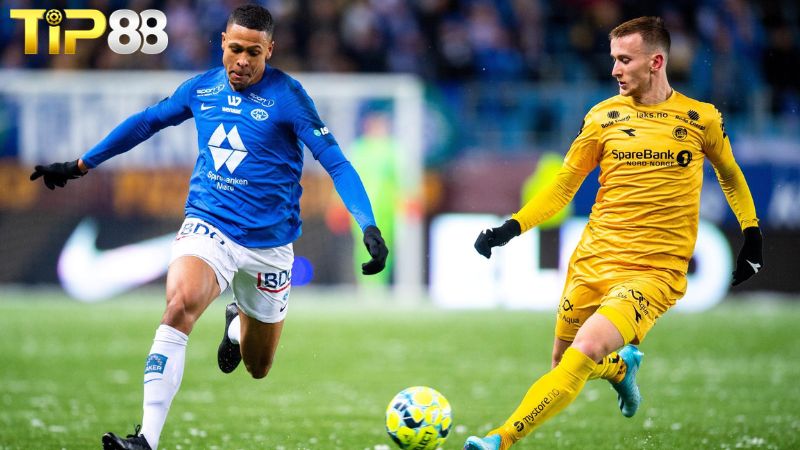 Lịch sử đối đầu giữa Bodo/Glimt vs Molde