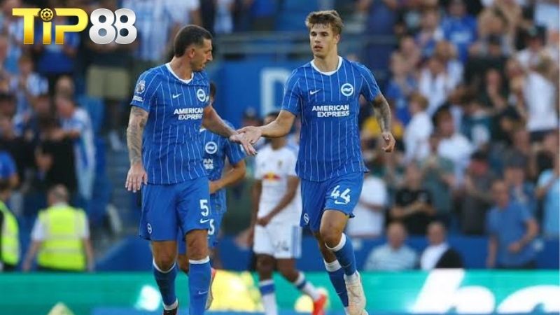 Lịch sử đối đầu giữa Coventry vs Brighton
