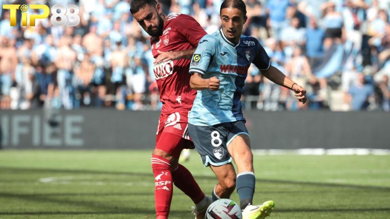 Lịch sử đối đầu giữa Brest vs Le Havre