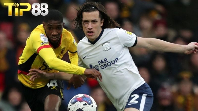 Lịch sử đối đầu giữa Watford vs Preston