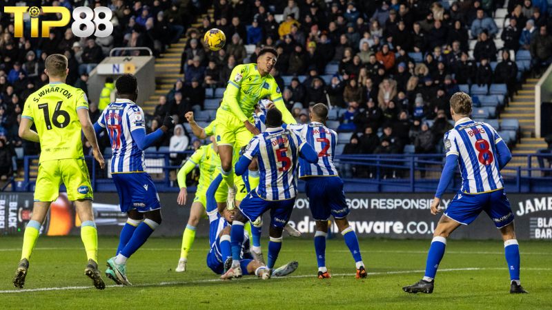 Lịch sử đối đầu giữa Blackburn Rovers vs Sheffield Wed
