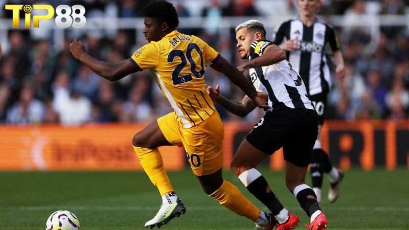Lịch sử đối đầu giữa Newcastle vs Brighton