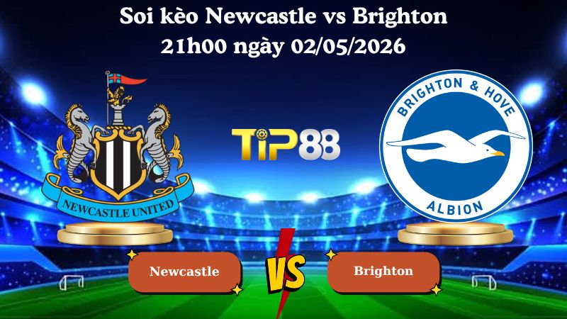 soi kèo Newcastle vs Brighton 21h00 ngày 02/05/2026