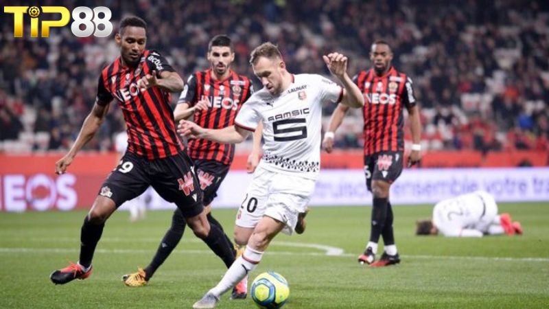 Lịch sử đối đầu giữa Nice vs Rennes