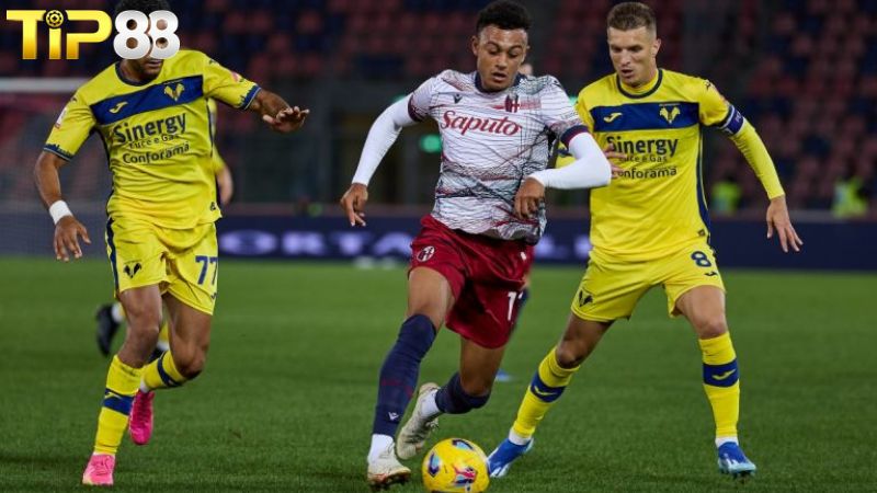 Lịch sử đối đầu giữa Bologna vs Verona