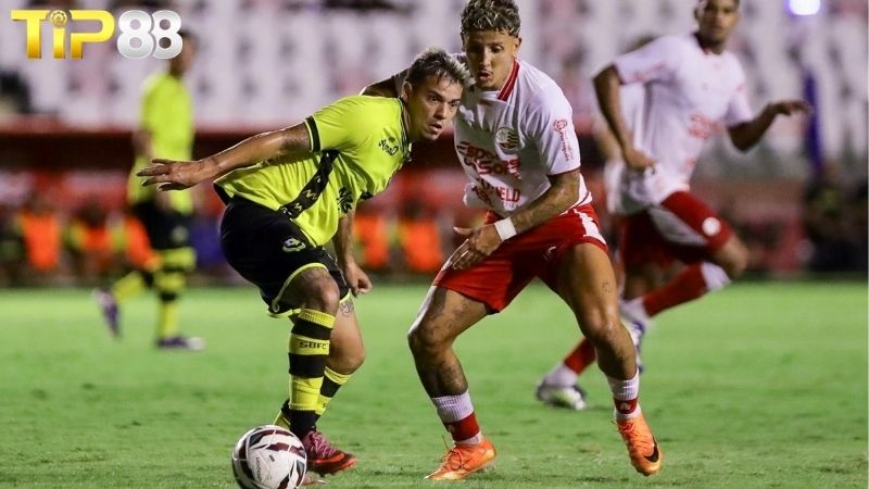Lịch sử đối đầu giữa Sao Bernardo vs Sport Recife PE