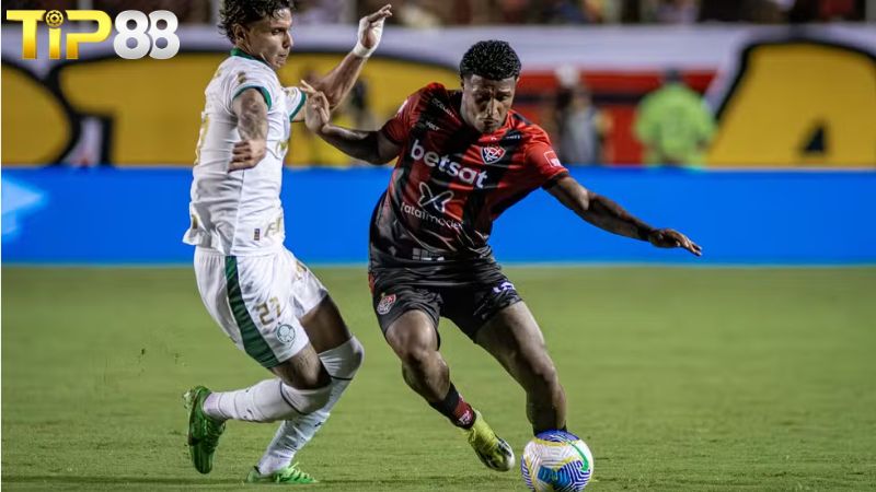 Lịch sử đối đầu Palmeiras vs Vitoria