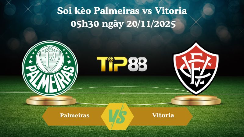 Soi kèo Palmeiras vs Vitoria 05h30 ngày 20/11/2025