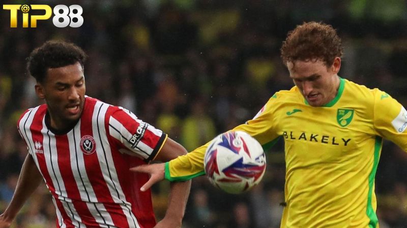 Lịch sử đối đầu giữa Norwich vs Sheffield United