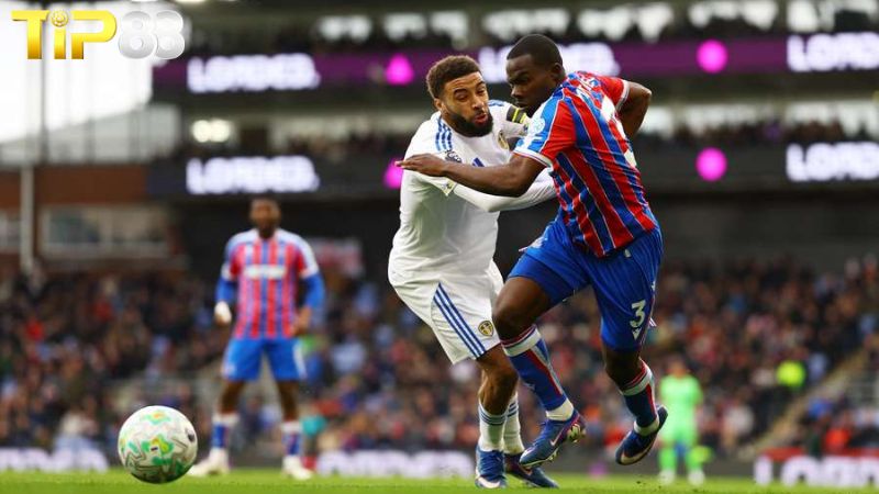 Lịch sử đối đầu giữa Crystal Palace vs Fiorentina