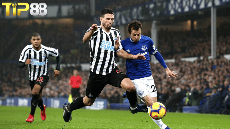 Lịch sử đối đầu Everton vs Newcastle