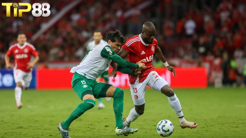 Lịch sử đối đầu giữa SC Internacional vs Palmeiras