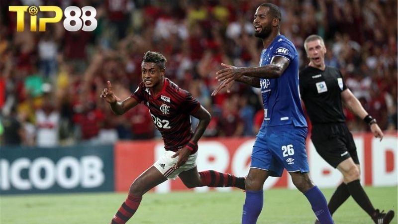 Lịch sử đối đầu giữa Cruzeiro vs Flamengo
