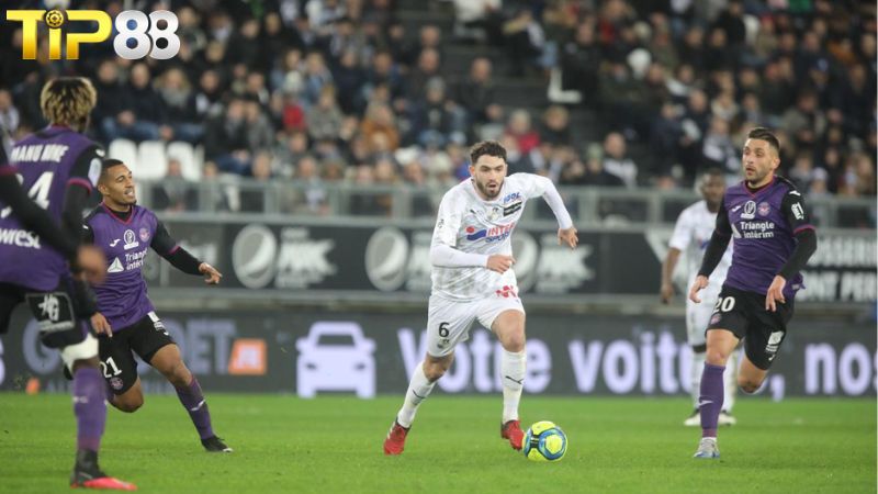 Lịch sử đối đầu giữa Toulouse vs Amiens