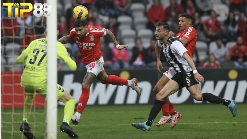 Lịch sử đối đầu giữa Benfica vs Nacional