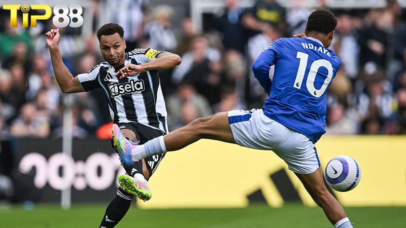Lịch sử đối đầu giữa Newcastle vs Everton