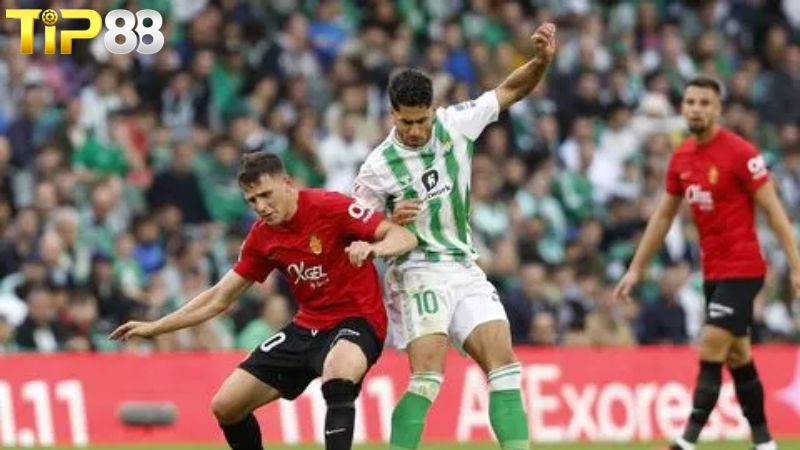 Lịch sử đối đầu giữa Mallorca vs Real Betis