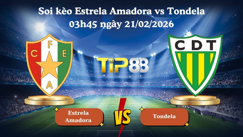 soi kèo Estrela Amadora vs Tondela 03h45 ngày 21/02/2026