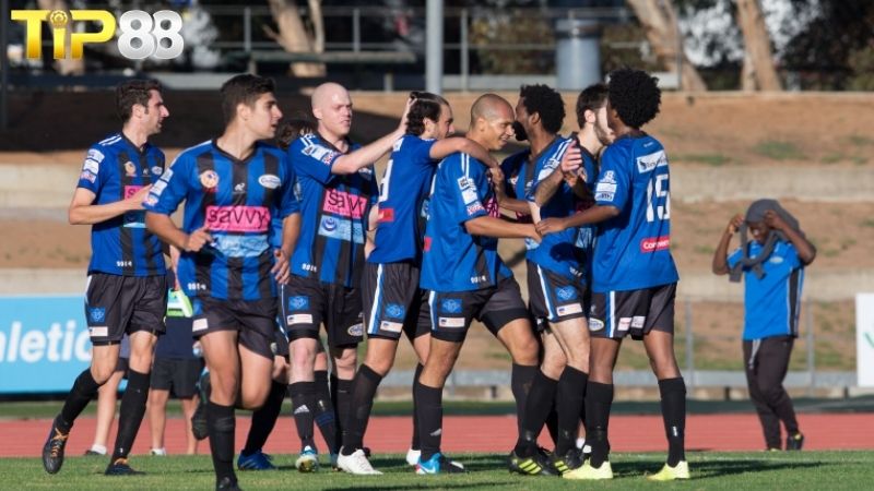 Lịch sử đối đầu giữa Adelaide Comets vs West Adelaide