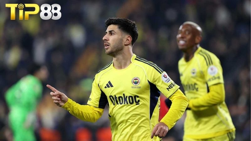 Lịch sử đối đầu giữa Fenerbahce vs Lyon