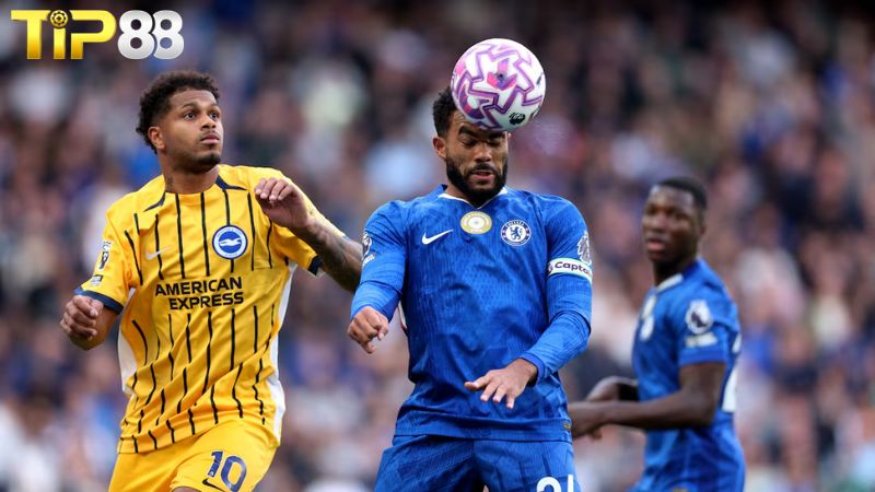 Lịch sử đối đầu giữa Brighton vs Chelsea