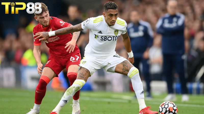 Lịch sử đối đầu Liverpool vs Leeds United