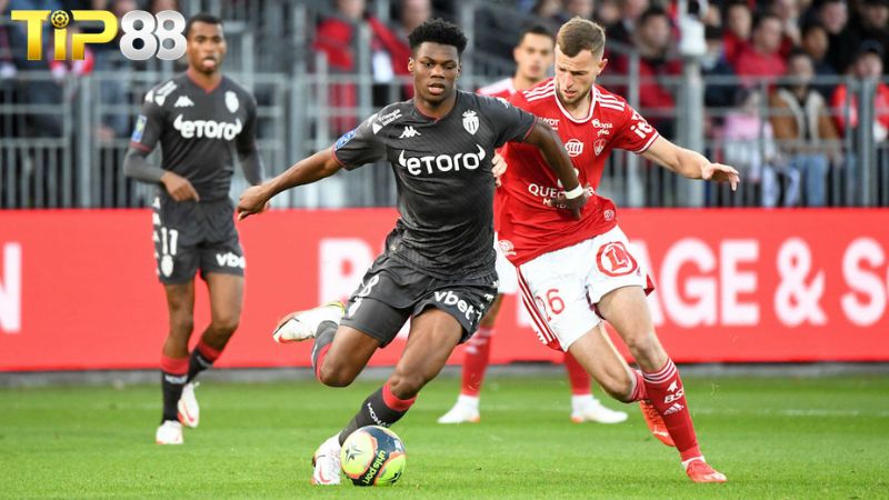 Lịch sử đối đầu giữa Monaco vs Brest