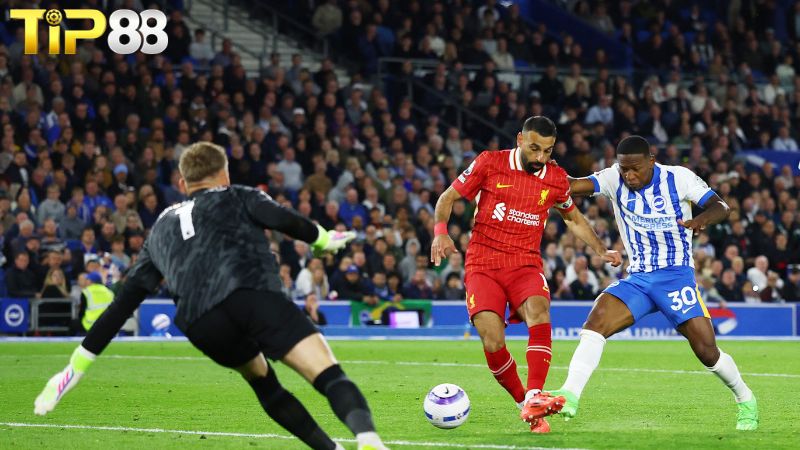 Lịch sử đối đầu giữa Brighton vs Liverpool