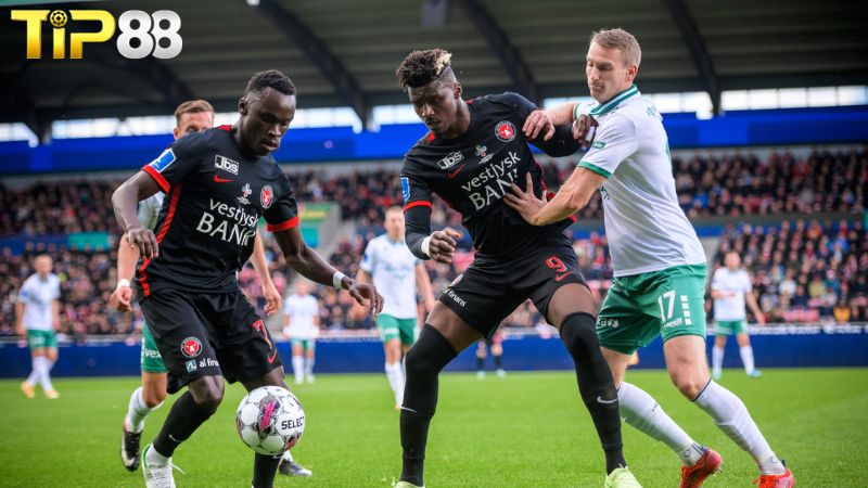 Lịch sử đối đầu giữa FC Midtjylland vs Viborg