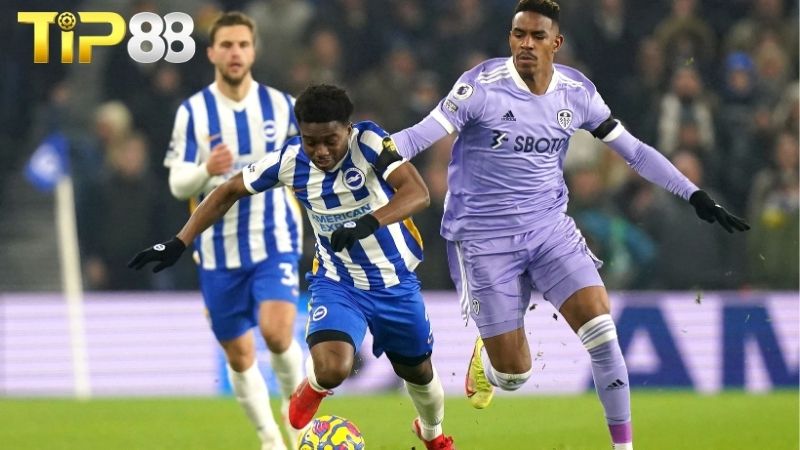 Lịch sử đối đầu giữa Brighton vs Leeds