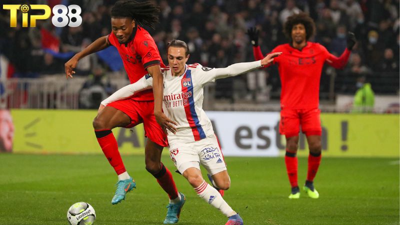 Lịch sử đối đầu giữa Olympique Lyonnais vs Nice