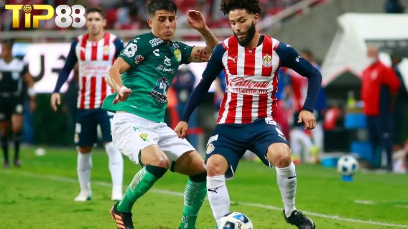 Lịch sử đối đầu giữa Guadalajara Chivas vs Club Leon
