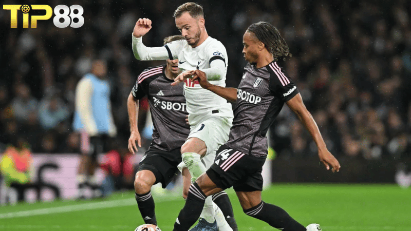 Lịch sử đối đầu Tottenham vs Fulham