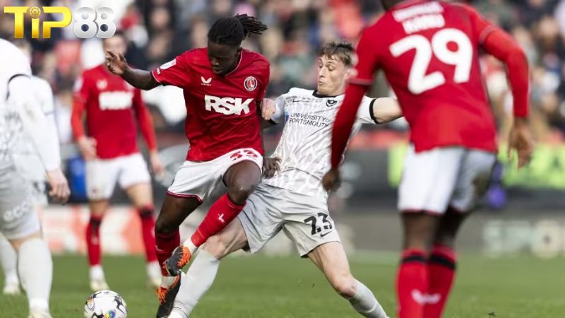 Lịch sử đối đầu giữa Charlton vs Portsmouth