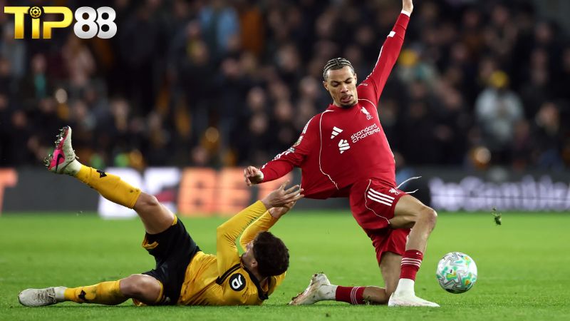 Lịch sử đối đầu giữa Wolves vs Liverpool