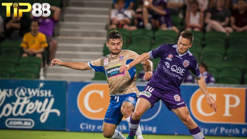 Lịch sử đối đầu giữa Perth Glory vs Newcastle Jets