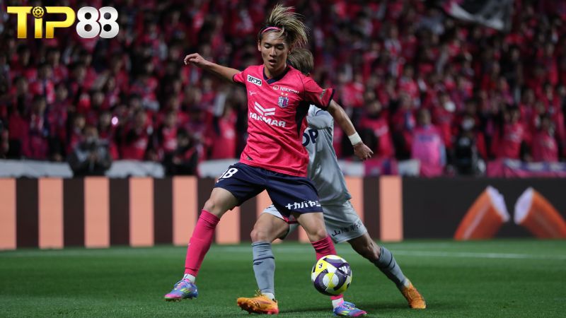 Lịch sử đối đầu giữa Cerezo Osaka vs Okayama