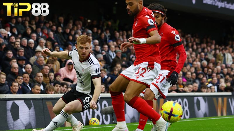 Lịch sử đối đầu giữa Nottingham Forest vs Fulham