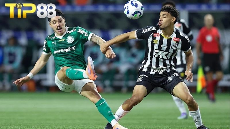 Lịch sử đối đầu giữa Santos vs Palmeiras