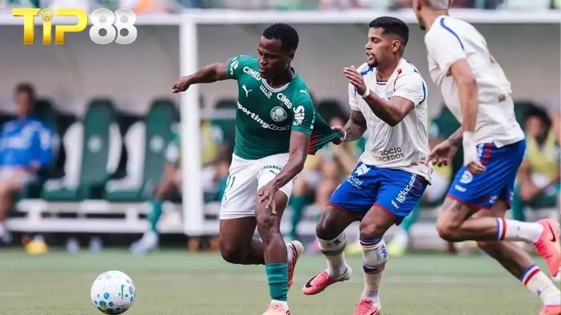 Lịch sử đối đầu giữa Fortaleza vs Palmeiras